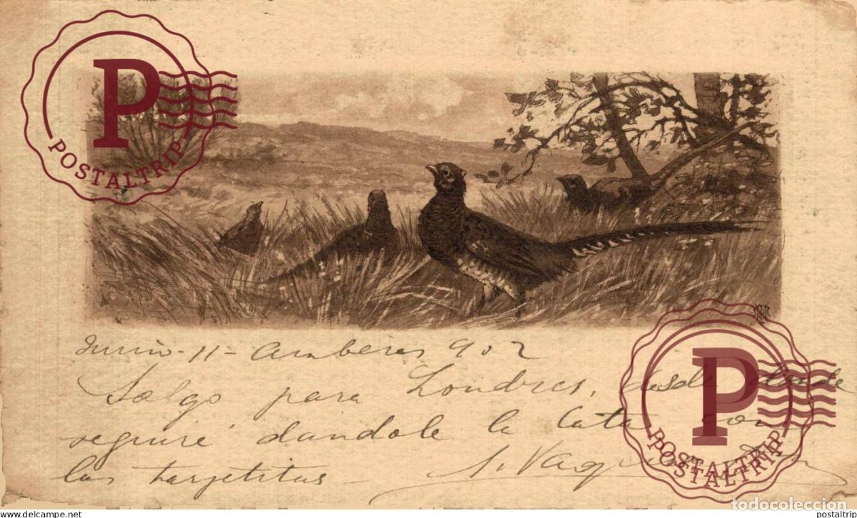 Postcards: ILLUSTRATEUR. ILUSTRACION. PAJAROS, BIRDS.