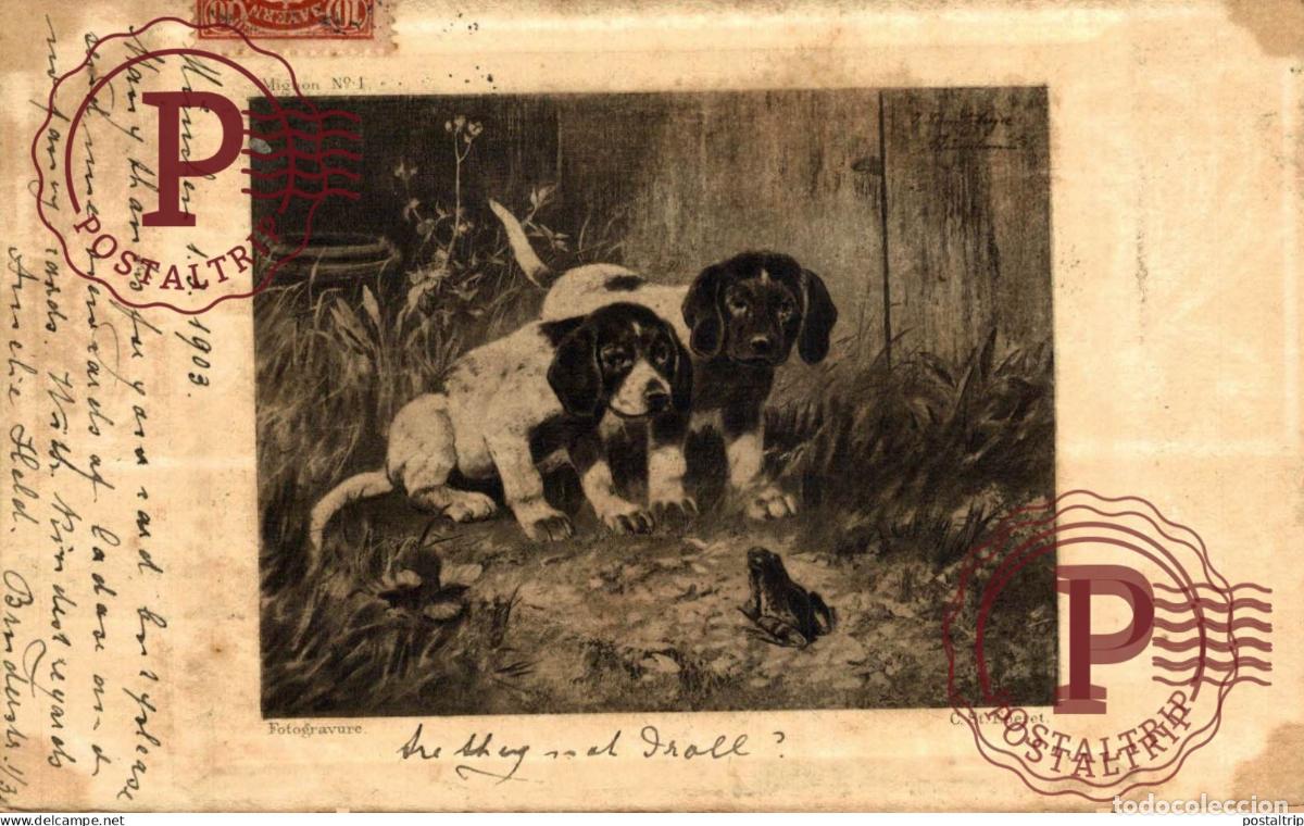 Postcards: ILLUSTRATEUR. ILUSTRACION. PERRO. DOG. CHIEN. RANA FROG