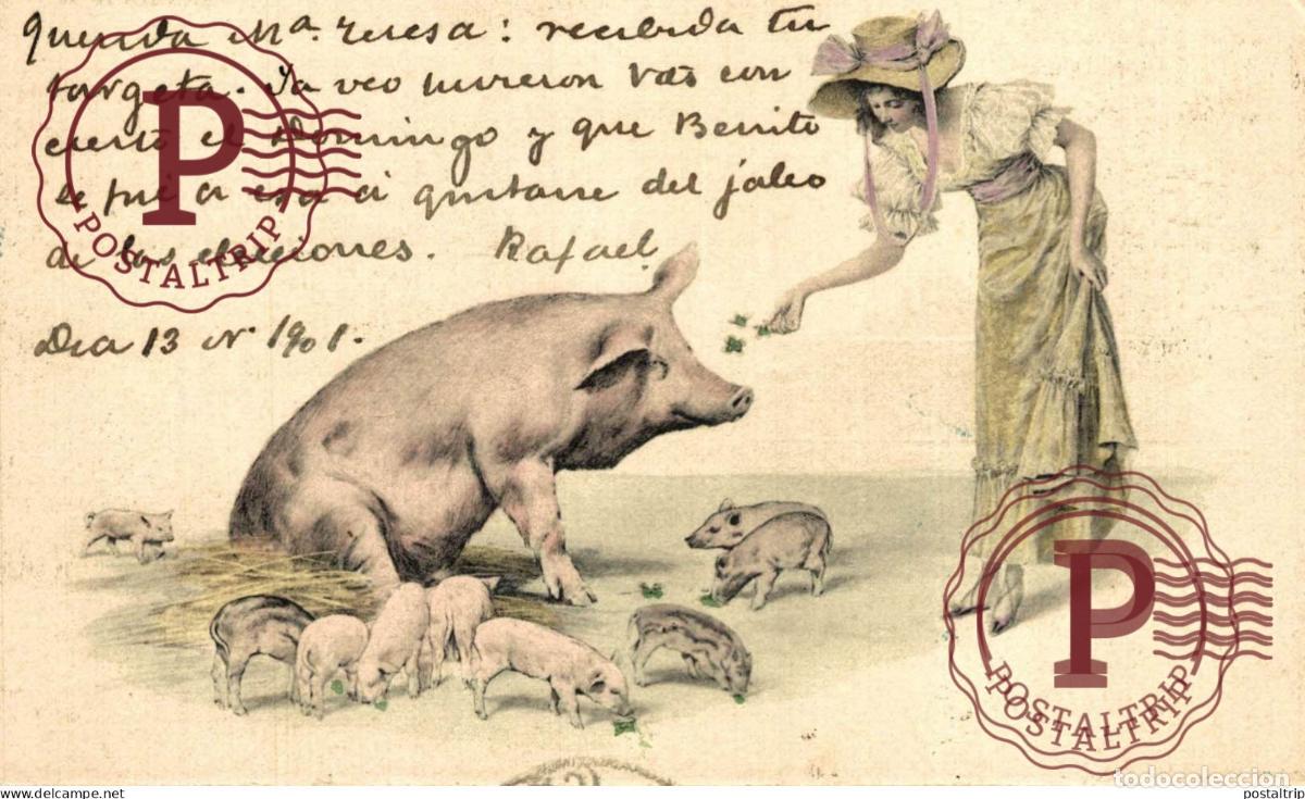 Postales: ILUSTRADA. ILLUSTRATEUR. VIENNOISE. PIGS. CERDOS.