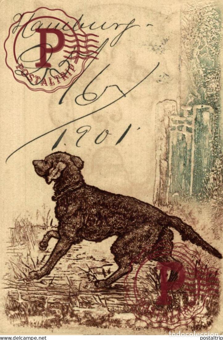 Postales: ILUSTRADA. ILLUSTRATEUR. PERRO. DOG. CHIEN.