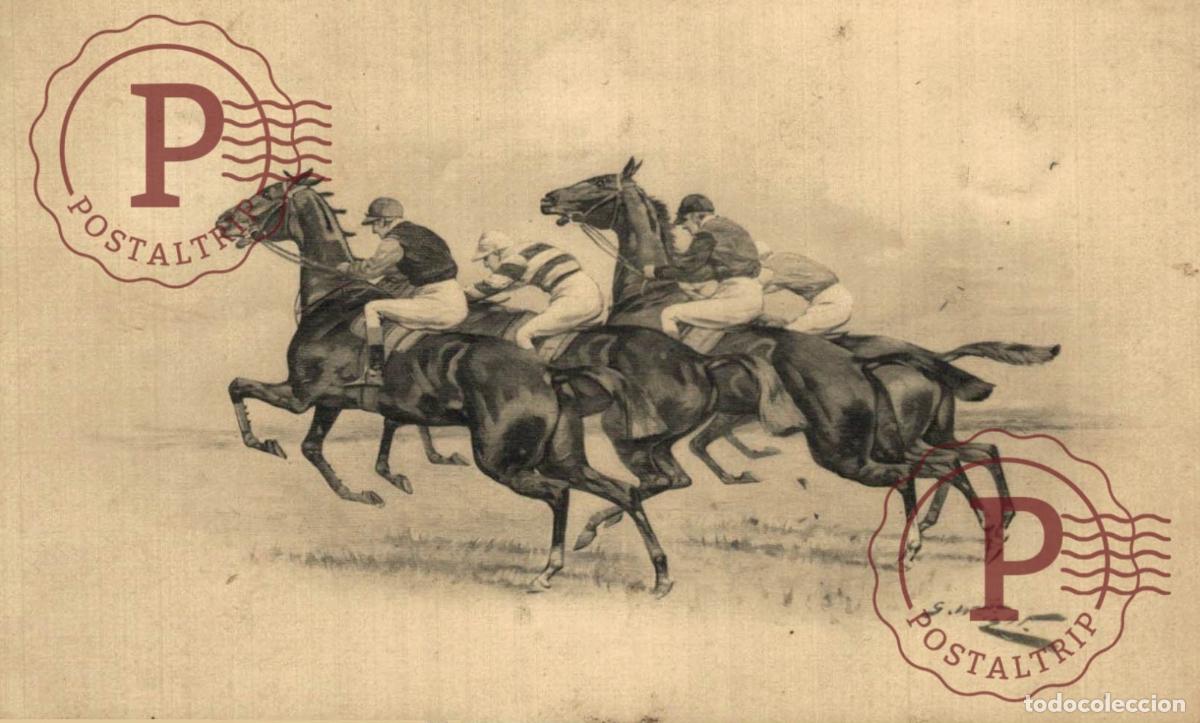Postais: ILUSTRADA. ILLUSTRATEUR. HIPICA. HIPIQUE. HORSE RIDING