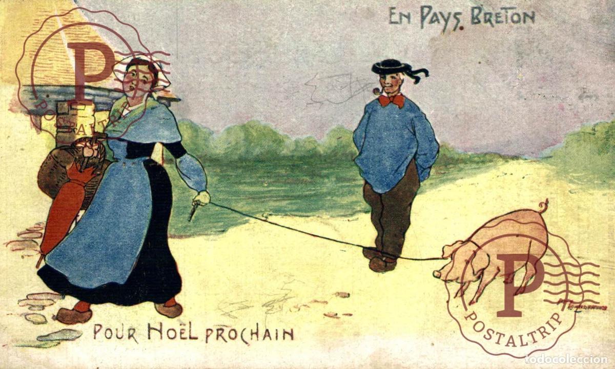 Cartes Postales: ILUSTRADA. ILLUSTRATEUR. EN PAYS BRETON PAR AMY SANDERSON. LE COCHON POUR NO&Euml;L
