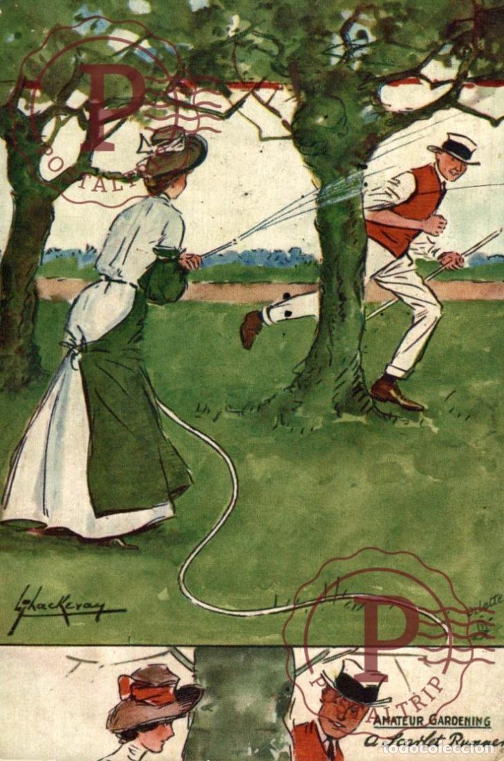 Cartes Postales: ILUSTRADA. ILLUSTRATEUR. L. THACKERAY - Amateur Gardening