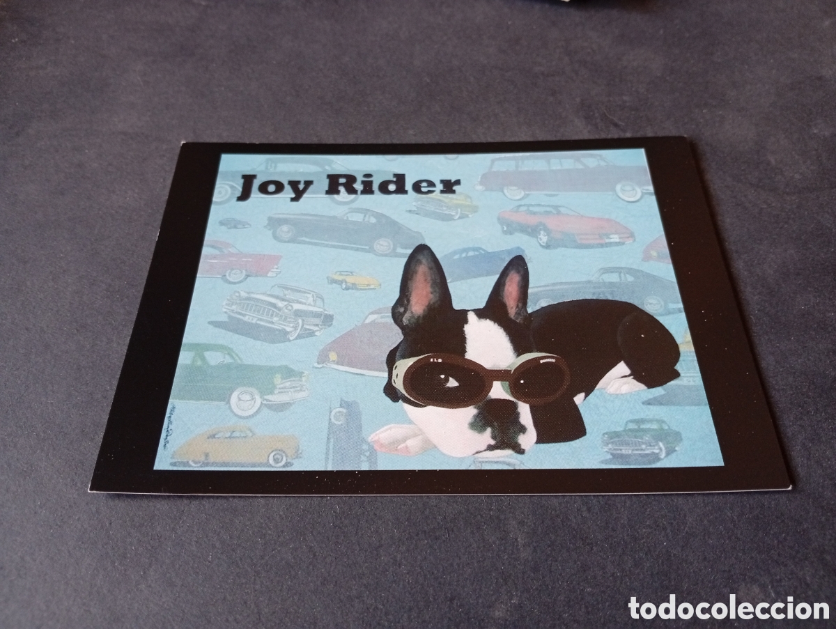 Postales: Postal joy Rider go card por helene lund den boer