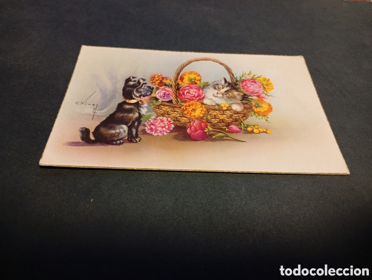 Postales: Postal antigua dibujo perro, gato flores