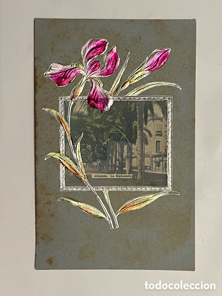 Postales: POSTAL ILUSTRADA.. Alicante, La Esplanada.. pintada a mano.. Circulada a Barcelona (a.1907)