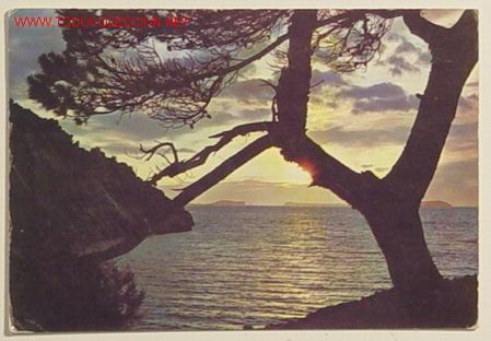 Postales: ESPA&Ntilde;A - SALIDA DE SOL . Circulada 1963 . - Foto 1