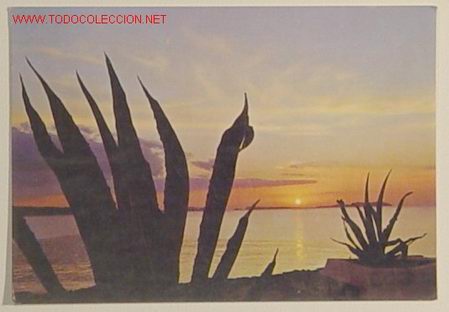 Postales: 1281 - PUESTA DE SOL . Circulada . - Foto 1