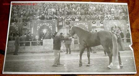 Cartes Postales: ANTIGUA FOTO INEDITA 1947 EN EL HPODROMO MALLORQUIEN LE FUE OFRENDADO AL CAUDILLO UN HERMOSO CABALLO