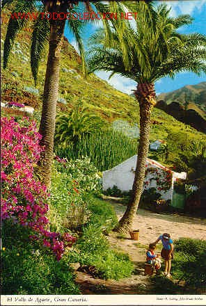 Postales: paisage del valle de agaete - Foto 1