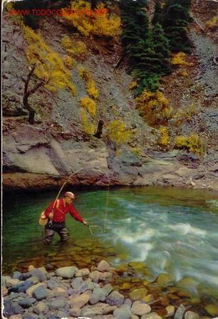 Postales: C.yZ.-6561.Circulada - Foto 1