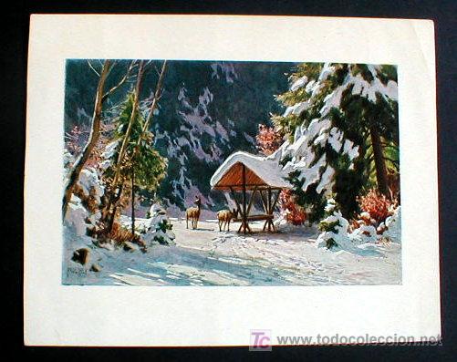 Postais: POSTAL PAISAJE INVERNAL PRECIOSA. MEDIDA INUSUAL.. ENVIO GRATIS&iexcl;&iexcl;&iexcl;