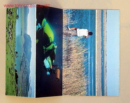 Postales: LOTE DE 4 POSTALES,NO CIRCULADA . - Foto 1