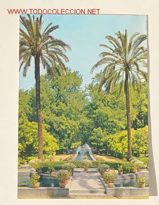 Postales: 62 - PARQUE DE MARIA LUISA . No circulada . - Foto 1