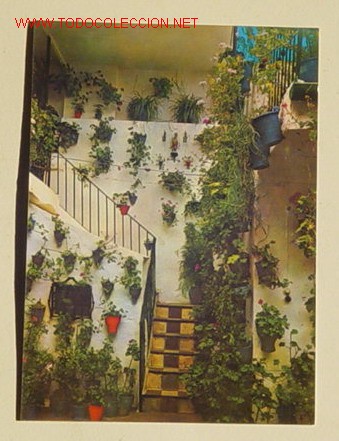 Cartoline: 401 - ESPA&Ntilde;A ES DIFERENTE . PATIO ANDALUZ . No circulada .
