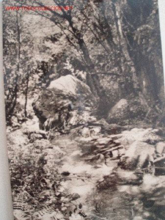 Postales: Postal de Riell de Montseny, Sin circular. Ed. A. Zerkowitz - Foto 1