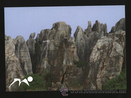 Postales: lote 5 postales publicitarias de Sierra Morena - Foto 2