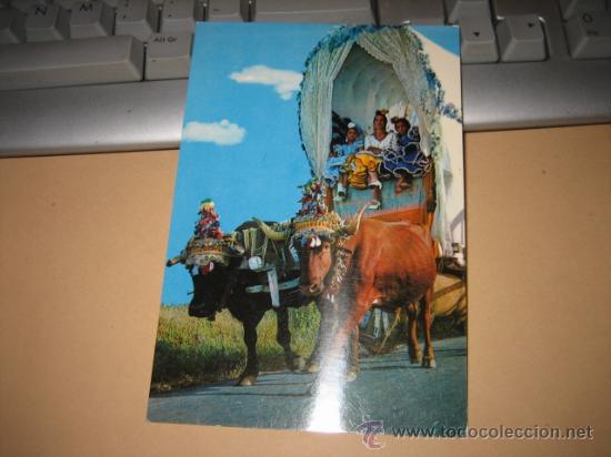 Postales: 812.-ESPA&Ntilde;A TIPICA   ROMERIA TIPICA - Foto 1
