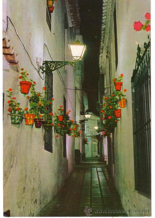 Postales: N&ordm; 1006 POSTAL ESPA&Ntilde;A TIPICA - Foto 1