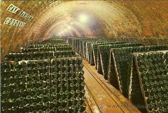 Postales: POSTAL CAVAS CODORNIU BOTELLAS EN PUPITRE - Foto 1