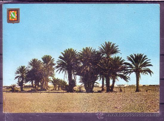 Postales: AAIUN - SAHARA ESPA&Ntilde;OL - SMARA OASIS - Foto 1