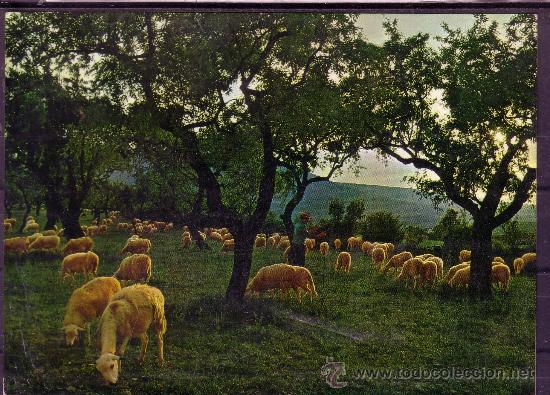 Postales: ESPA&Ntilde;A ES DIFERENTE N&ordm; 411 - Foto 1
