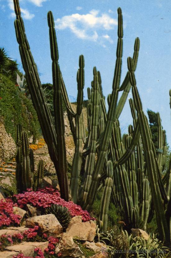 Cartes Postales: ESPA&Ntilde;A N&ordm; 828 JARDINES ESCRITA CIRCULADA SELLO EDICIONES BEASCOA