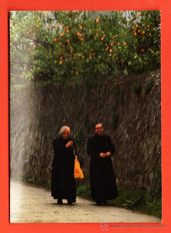 Cartoline: imagenes de espa&ntilde;a - sacerdotes entre naranjos - ed. image international - sin circular - a&ntilde;o 1980