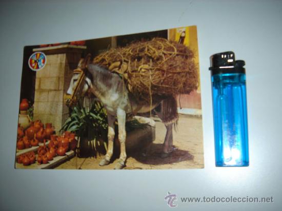 Postales: Postal Espa&ntilde;a t&iacute;pica, burrito con botijos - Foto 1