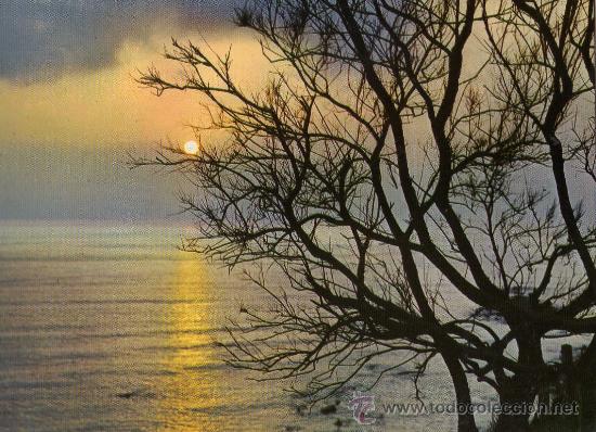 Cartoline: RECUERDO DE ESPA&Ntilde;A N&ordm; 211 PUESTA DE SOL EDICIONES ALARDE ESCRITA CIRCULADA SELLOS