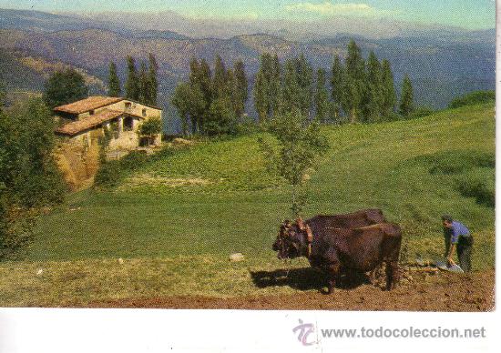 Cartoline: PAISAJES ESPA&Ntilde;OLES - PIRINEOS