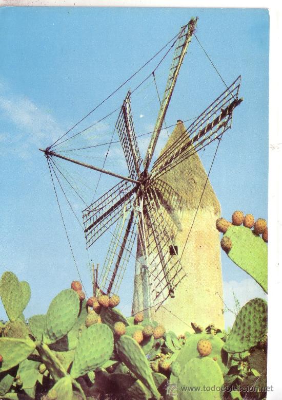 Postales: ESPA&Ntilde;A TIPICA - TIPICO MOLINO - Foto 1
