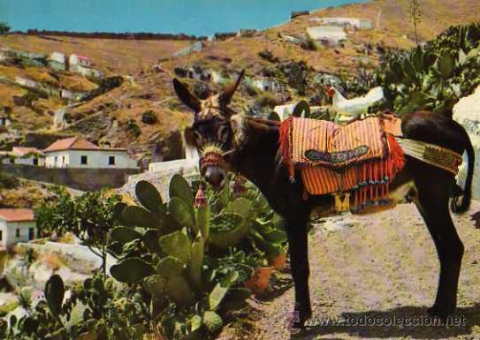 Cartoline: ESPA&Ntilde;A N&ordm; 814 SACROMONTE EL BURRO CHUMBITO ESCRITA SIN CIRCULAR BEASCOA