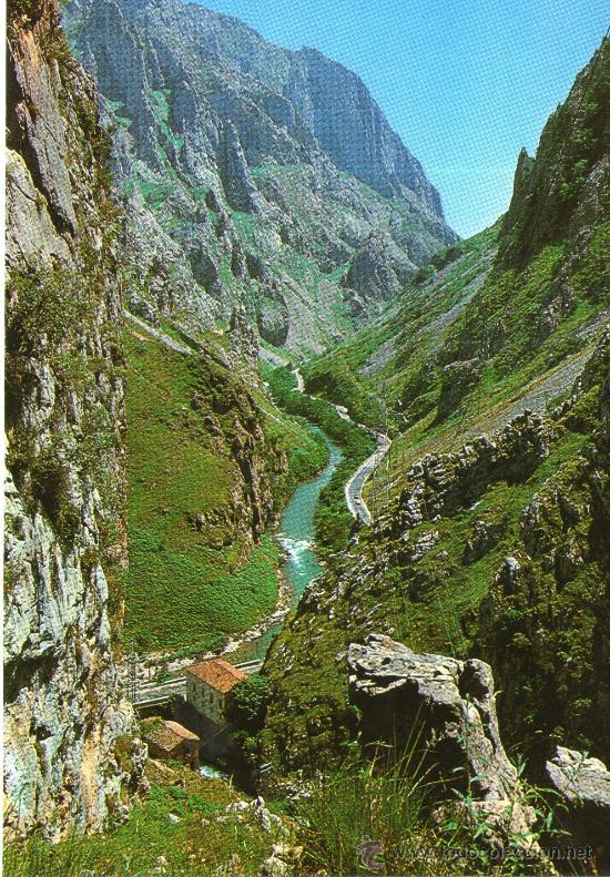 Postais: postal de picos de europa, desfiladero de la hermida n&ordm; 131