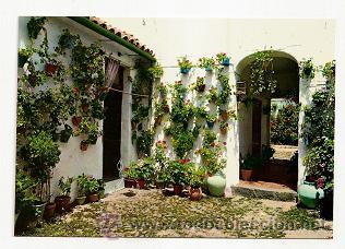 Cartes Postales: Postal Espa&ntilde;a es diferente. 413. Patio t&iacute;pico andaluz.