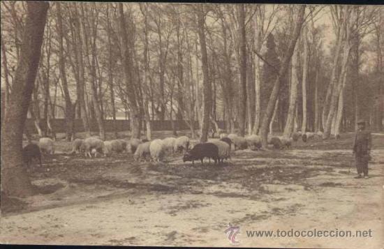 Postales: POSTAL  SIN LOCALIZAR - Foto 1