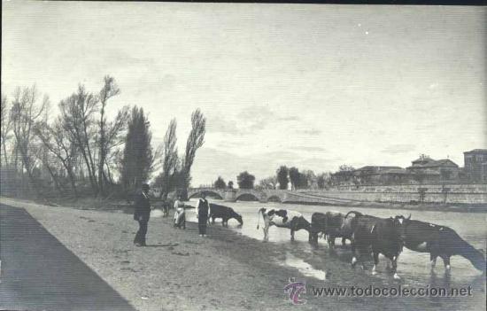 Postales: Palencia. Puentecillas - Foto 1