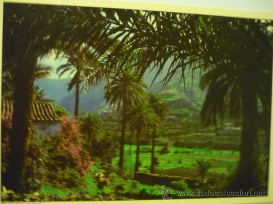 Postales: ISLAS CANARIAS  - LOS BERRAZALES - Foto 1