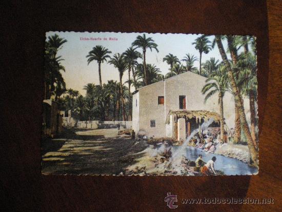 Postales: ELCHE-Huerto de Malla - Foto 1