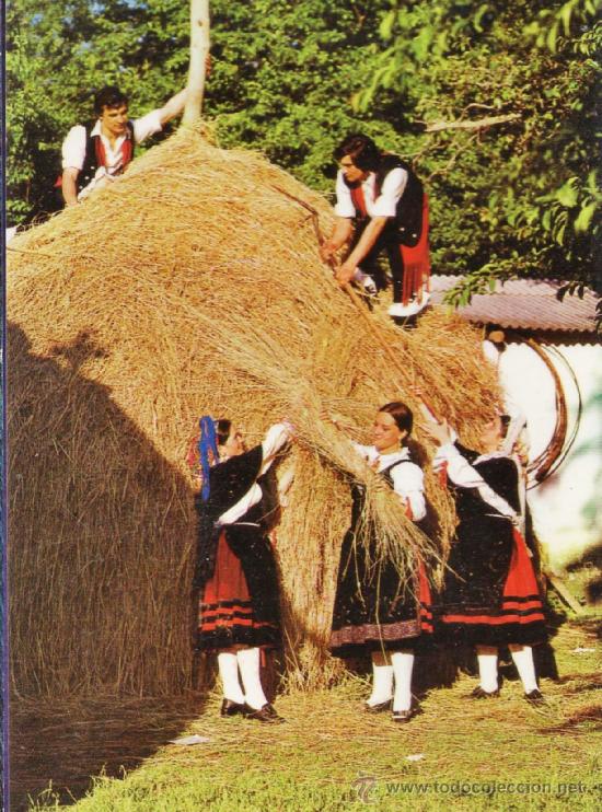 Postales: galicia - labor tipica - n&ordm; 3342 - ed. fama - nueva - a&ntilde;o 1972 - x