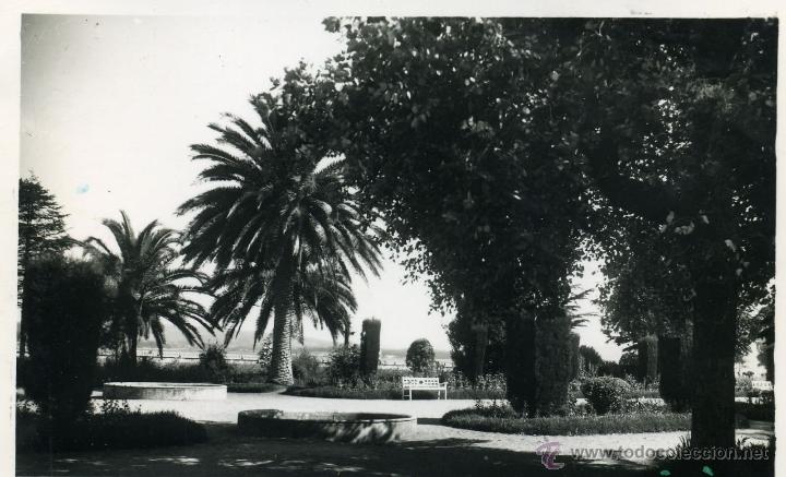Cartoline: LA TOJA. VISTA DEL PARQUE. ED. ARTIGOT 114
