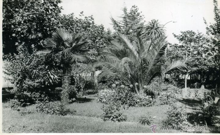 Postais: Ortigueira. sin editorial, en blanco por detr&aacute;s