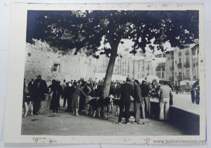 Cartoline: ANTIGUA FOTOGRAFIA ORIGINAL DE MERCADO DE GANADO EN LUGAR DE ESPA&Ntilde;A NO LOCALIZADO, MIDE 12,5 X 9 CMS