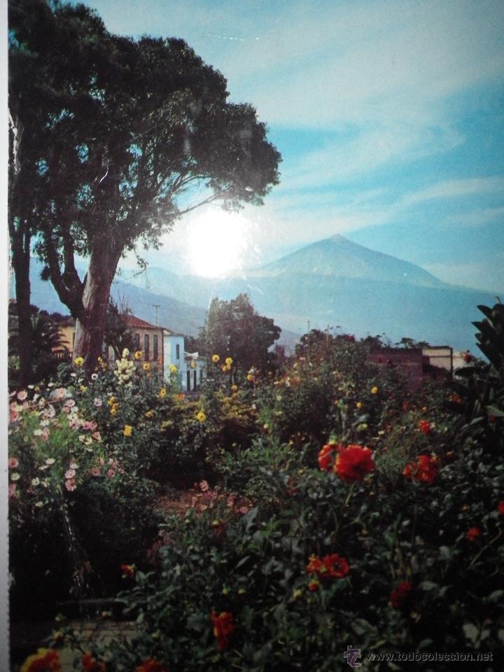 Postales: POSTAL TENERIFE , CIRCULADA  A&Ntilde;OS 60 - Foto 1