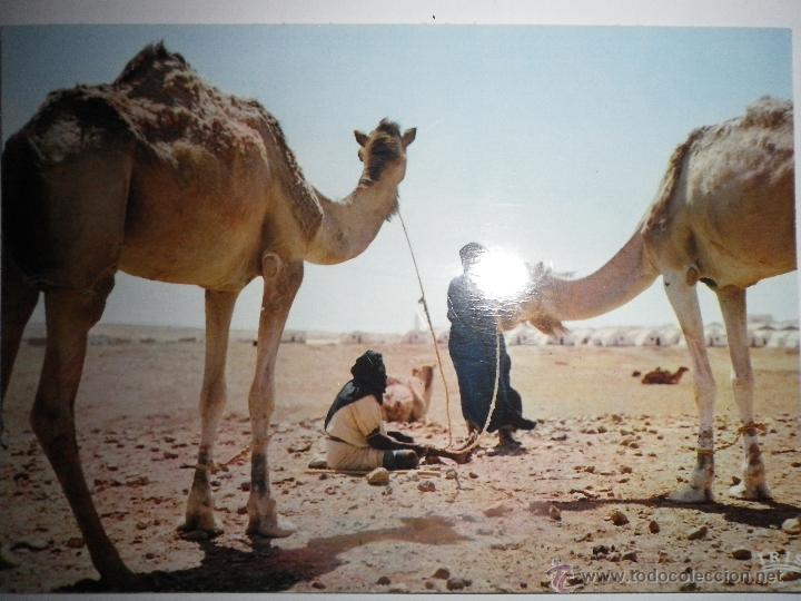 Postais: POSTAL SAHARA  ESPA&Ntilde;OL, EL AAIUN   , A&Ntilde;OS 60 SIN CIRCULAR