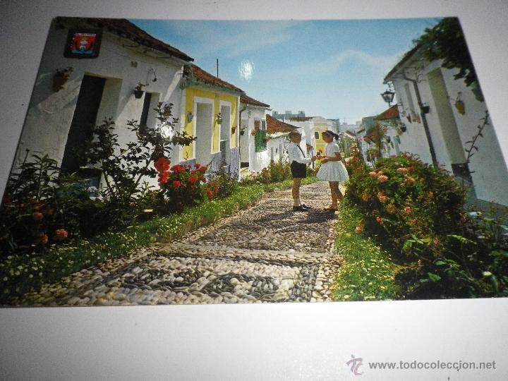 Postais: POSTAL ALGECIRAS  CALLE T&Iacute;PICA, SIN CIRCULAR  A&Ntilde;OS 60