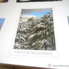 Postales: POSTAL PUERTO DE NAVACERRADA MADRID PAISAJE NEVADO ESCRITO POR DETRAS CON SELLO