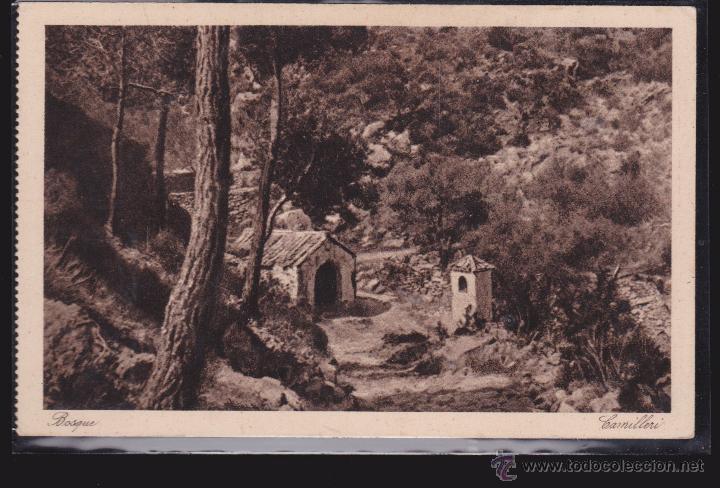 Postales: POSTAL BOSQUE CAMILLERI . - Foto 1