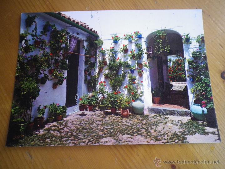 Postcards: ESPA&Ntilde;A ES DIFERENTE, EDICIONES RO FOTO N&ordm; 413