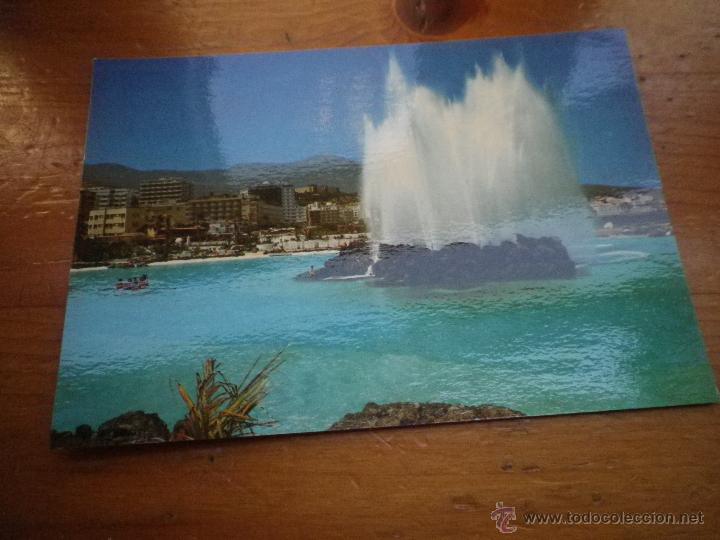 Cartes Postales: POSTAL PUERTO DE LA CRUZ. LAGO MARTIANEZ  SIN CIRCULAR A&Ntilde;OS 70